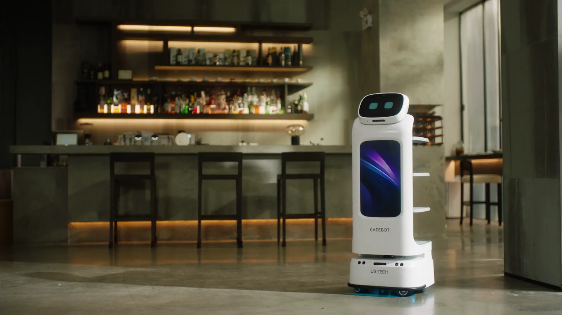 Restoran ve Cafe Garson Robot